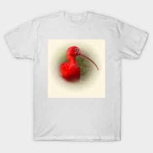 Scarlet ibis T-Shirt